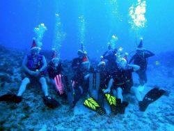This is the Honolulu Dive Club Christmas card picture sho... by Jeffrey Cowie 